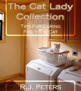 The Cat Lady Collection: Articles For Cat Lovers, How To, When To and Why To Tips For Caring For Your Cat