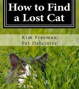 How to Find a Lost Cat: The professional guide to the correct methods for recovering a missing cat
