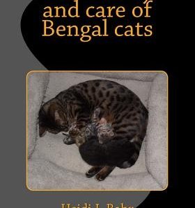 The history and care of Bengal cats: The history and care of Bengal cats