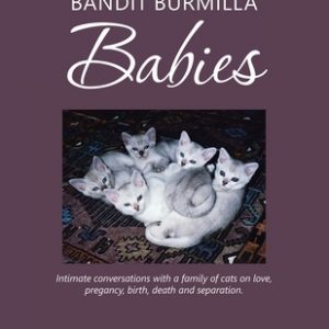 Bandit Burmilla Babies: Intimate Conversations with a Family of Cats on Love, Pregancy, Birth, Death and Separation.