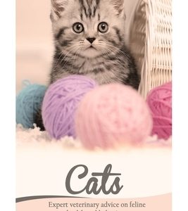 Cats: Expert Veterinary Advice on Feline Health and Behaviour