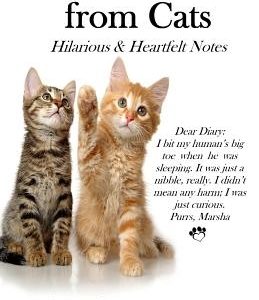 Letters from Cats: Hilarious & Heartfelt Notes