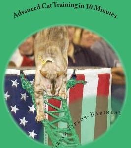 Advanced Cat Training in 10 Minutes