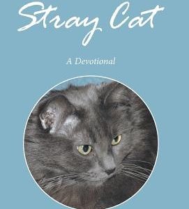 Lessons from a Stray Cat: A Devotional
