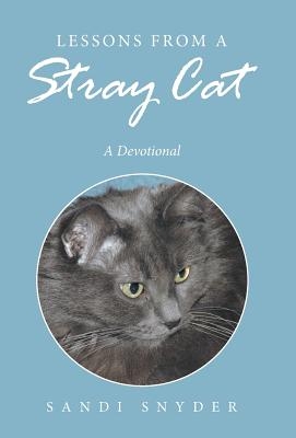 Lessons from a Stray Cat: A Devotional