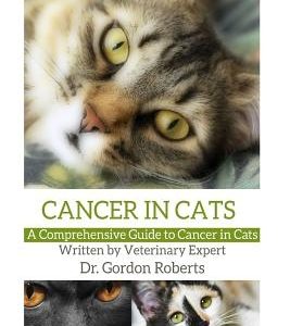 Cancer in Cats: A Comprehensive Guide to Cancer in Cats