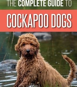 The Complete Guide to Cockapoo Dogs: Everything You Need to Know to Successfully Raise, Train, and Love Your New Cockapoo Dog
