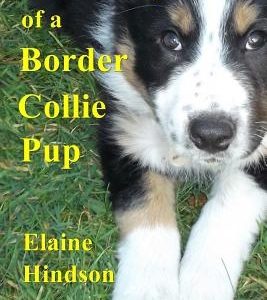 The Diary of a Border Collie Pup: Black and White edition