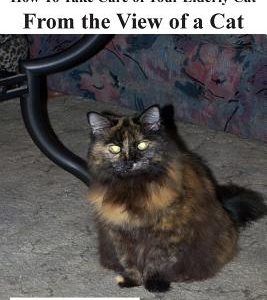 Senior Cat Care: - How To Take Care of Your Elderly Cat - From the View of a Cat