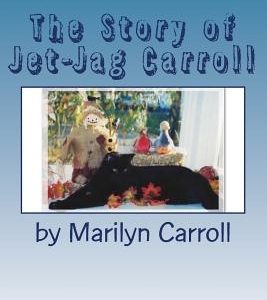 The Story of Jet-Jag Carroll: If Your Cat Has Feline Leukemia, It Doesn't Have To Die!