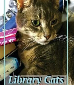 Library Cats: The History of Cats in Libraries
