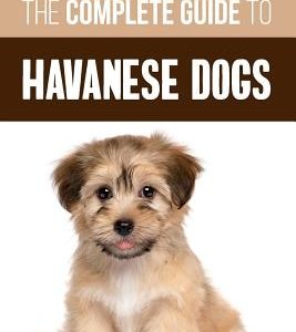The Complete Guide to Havanese Dogs: Everything You Need To Know To Successfully Find, Raise, Train, and Love Your New Havanese Puppy