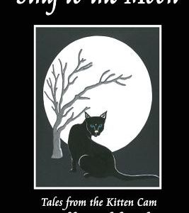 Sing to the Moon: Tales from the Kitten Cam