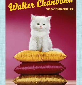 Walter Chandoha: The Cat Photographer