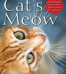 The Complete Cat's Meow: Everything You Need to Know about Caring for Your Cat