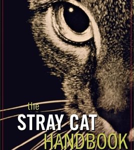 The Stray Cat Handbook