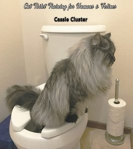 Potty Training for Real Cats: Cat Toilet Training for Humans and Felines