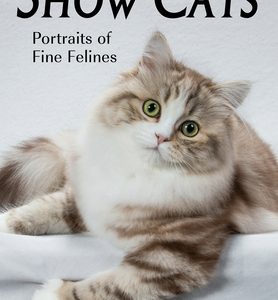 Show Cats: Portraits of Fine Felines