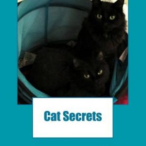 Cat Secrets