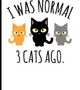 I Was Normal 3 Cats Ago.: I Was Normal 3 Cats Ago.