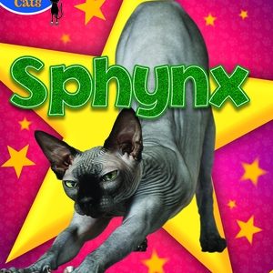 Sphynx