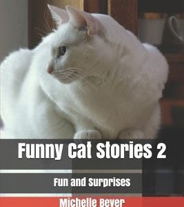 Funny Cat Stories 2: Fun and Surprises