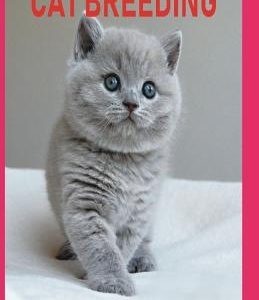 Cat Breeding: The Complete Guide on Everything about How to Breeding Cats