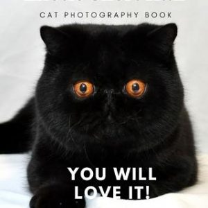 Exotic short hair cat photography book: You will love it!