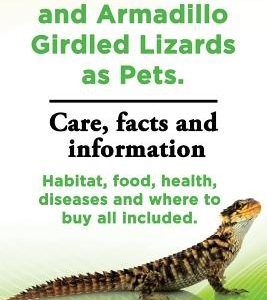 Armadillo Lizards and Armadillo Girdled Lizards as Pets. Armadillo Lizards Care, Habitat, Food, Health, Diseases and Where to Buy All Included