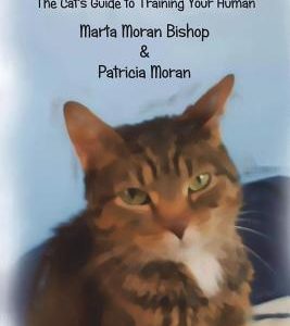 Keeping The Upper Paw: The cats guide to training your human