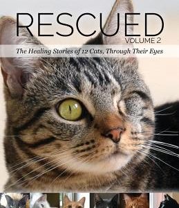 Rescued Volume 2: The Healing Stories of 12 Cats, Through Their Eyes