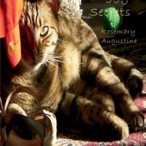 Ziggy's Secrets: An Internet Password Keeper