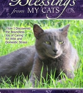 Blessings from My Cats: How I Discovered the Boundless Joy of Caring for Wild and Domestic Strays