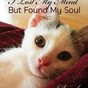 In Rescuing Cats I Lost My Mind But Found My Soul