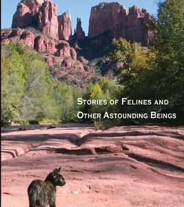 Covered in Cats: Stories of Felines and Other Astounding Beings