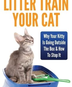 How To Litter Train Your Cat: Why Your Kitty Is Going Outside The Box & How To Stop It