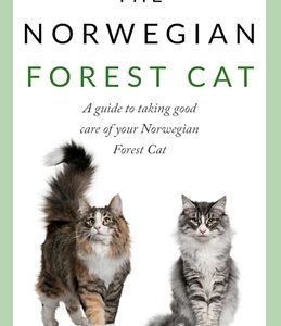 The Norwegian Forest Cat: A guide to taking good care of your Norwegian Forest Cat