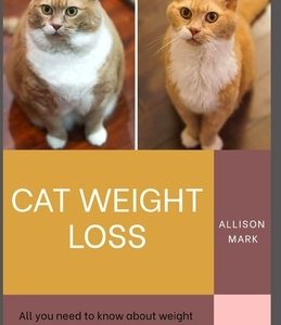 Cat Weight Loss: All You Need To Know About Weight Loss diet for Cat