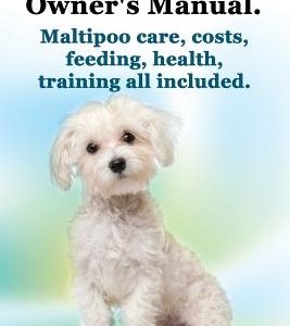 Maltipoo Complete Owner's Manual. Maltipoos Facts and Information. Maltipoo Care, Costs, Feeding, Health, Training All Included.