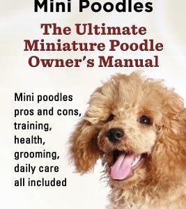 Miniature Poodles Mini Poodles. Miniature Poodles Pros and Cons, Training, Health, Grooming, Daily Care All Included.
