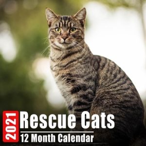 Calendar 2021 Rescue Cats: Cute Kittens Photos Monthly Mini Calendar With Inspirational Quotes each Month