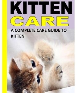 All about Kitten Care: A Complete Care Guide to Kitten