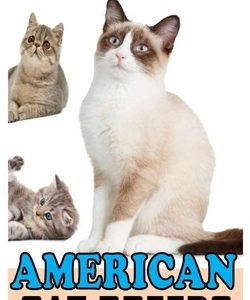 American Cat Breeds: A Complete Care Guide to American Cat Breeds
