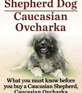 Caucasian Shepherd Dog. Caucasian Ovcharka. What You Must Know Before You Buy a Caucasian Shepherd Dog, Caucasian Ovcharka as a Pet.
