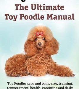Toy Poodles. the Ultimate Toy Poodle Manual. Toy Poodles Pros and Cons, Size, Training, Temperament, Health, Grooming, Daily Care All Included.
