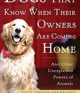 Dogs That Know When Their Owners Are Coming Home: And Other Unexplained Powers of Animals