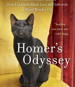 Homer's Odyssey: A Fearless Feline Tale, or How I Learned about Love and Life with a Blind Wonder Cat