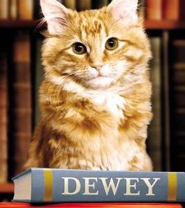 Dewey: The Small-Town Library Cat Who Touched the World