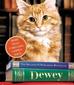 Dewey (Large Print Edition)