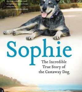 Sophie: The Incredible True Adventures of the Castaway Dog